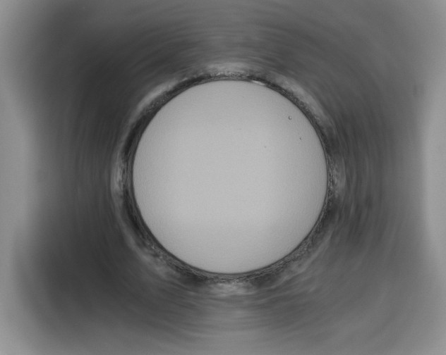 X0000115080583200911241144