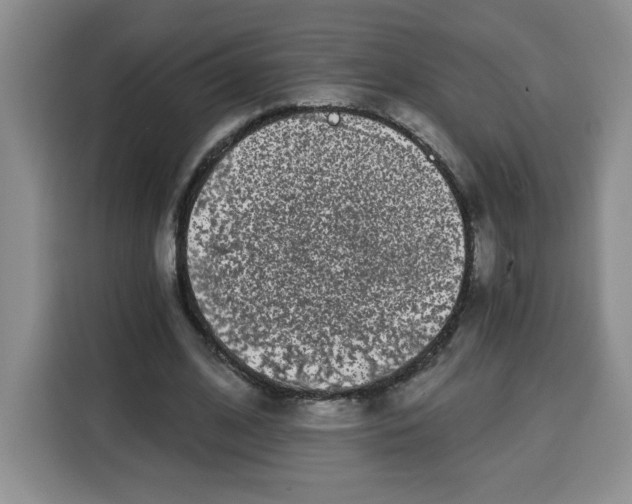 X0000115080584200911241144