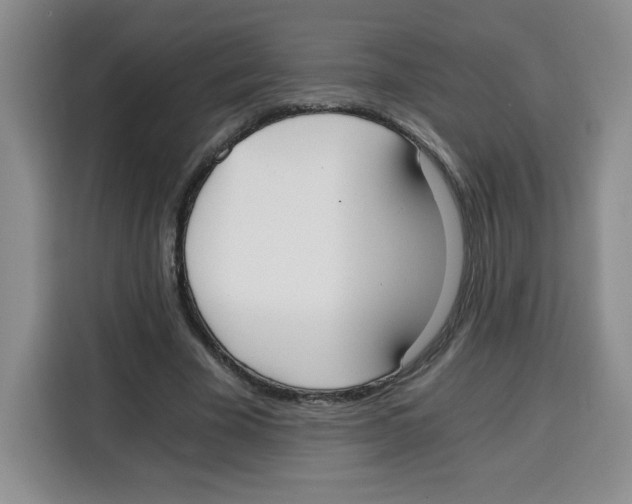 X0000115080585200911241144