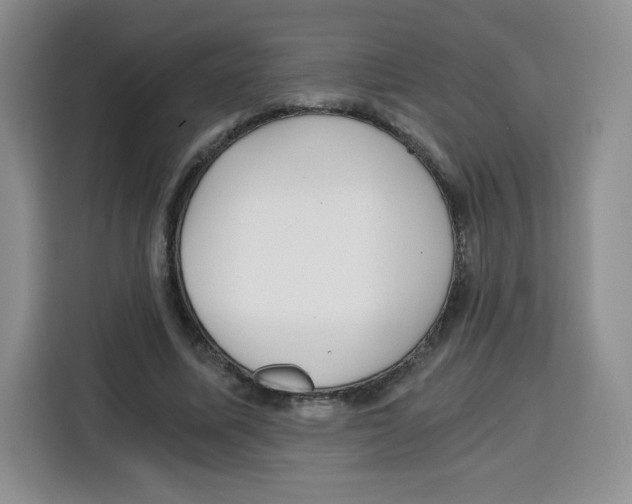 X0000115080587200911241144