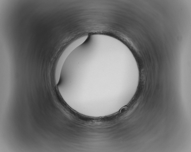X0000115080589200911241144