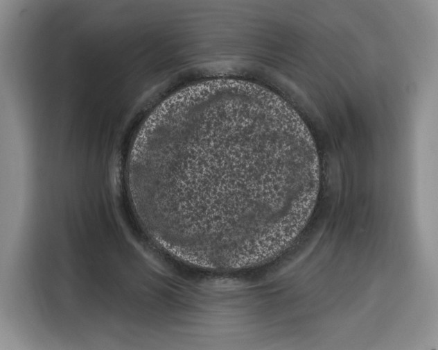 X0000115080590200911241144