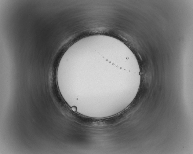 X0000115080591200911241144