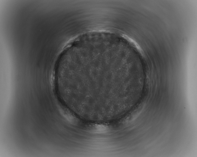 X0000115080592200911241144