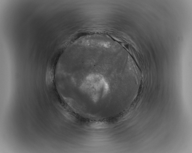 X0000115080593200911241144