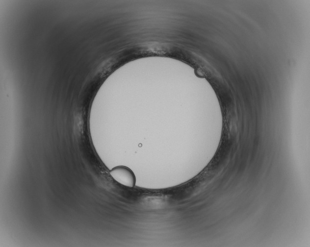 X0000115080595200911241144