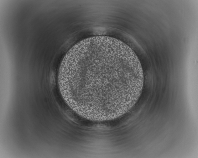 X0000115080598200911241143