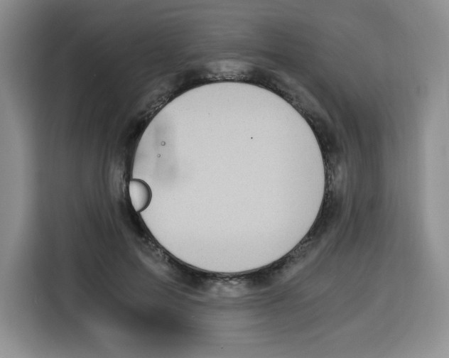 X0000115080599200911241143