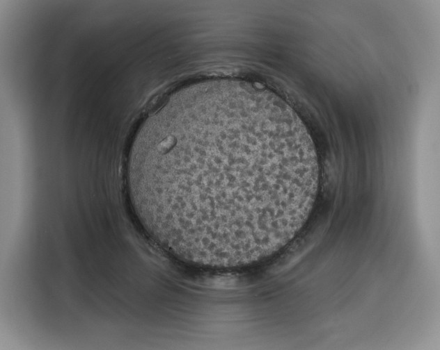 X0000115080600200911241143