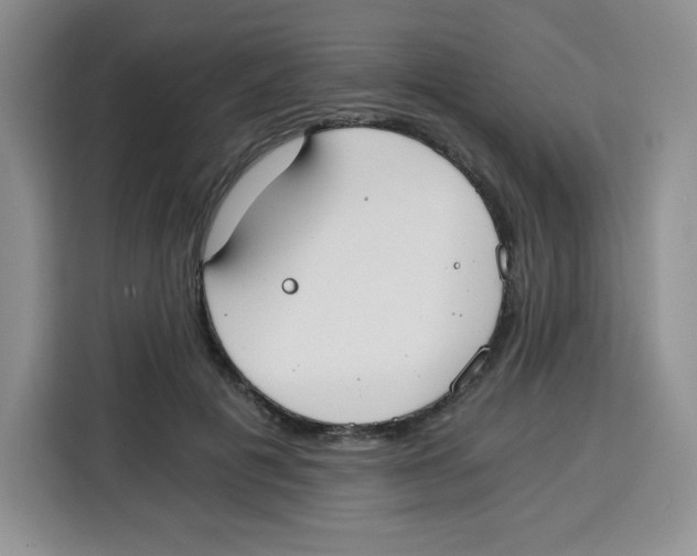 X0000115080601200911241143