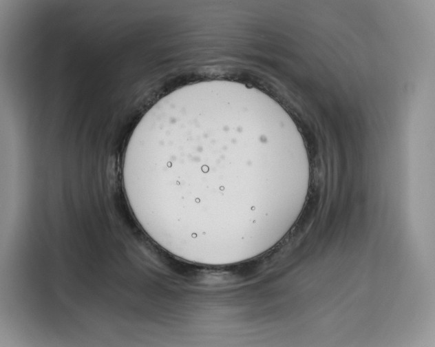 X0000115080605200911241143