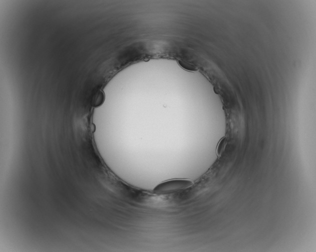 X0000115080611200911241143