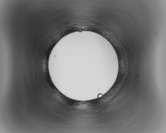 X0000115080612200911241143