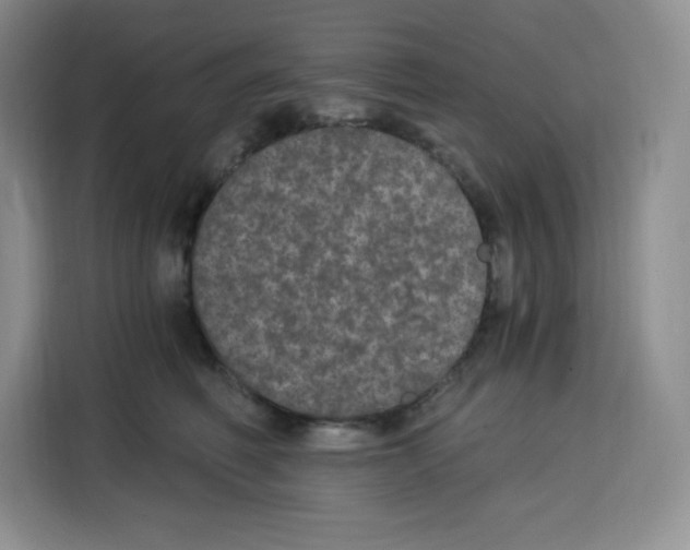 X0000115080614200911241143