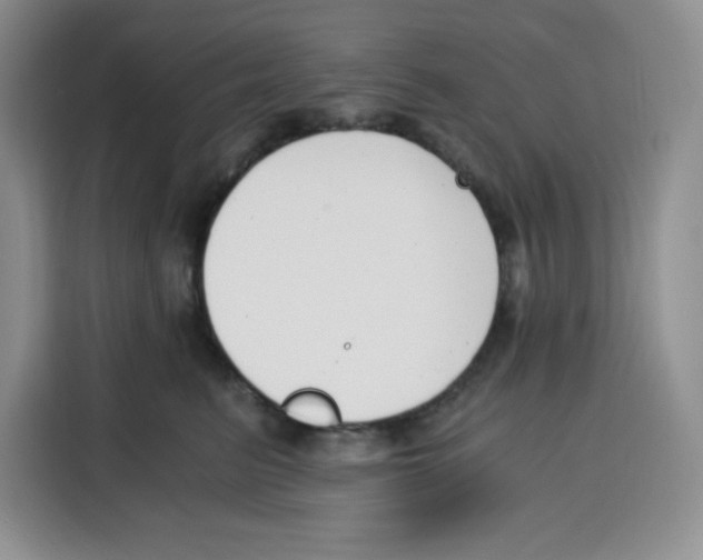 X0000115080615200911241143