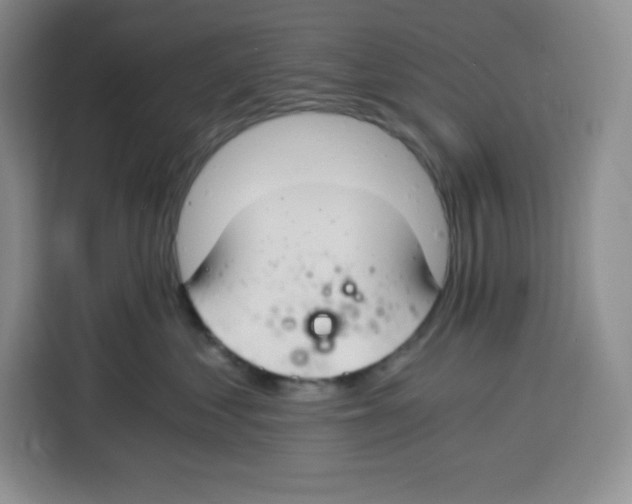 X0000115080621200911241143