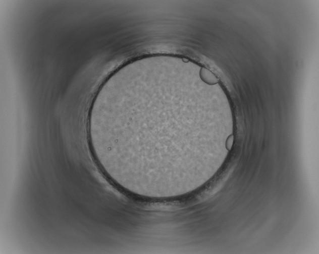 X0000115080625200911241143
