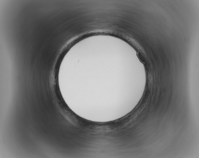 X0000115080628200911241143