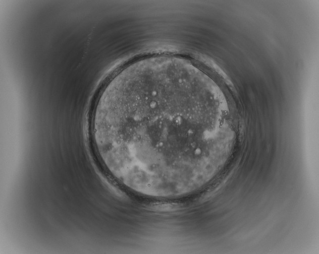 X0000115080629200911241143