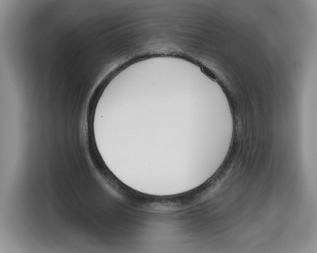 X0000115080630200911241143