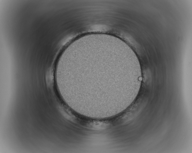 X0000115080632200911241143
