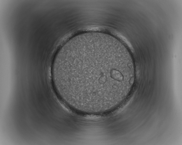 X0000115080633200911241143
