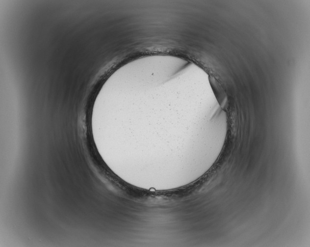 X0000115080634200911241143