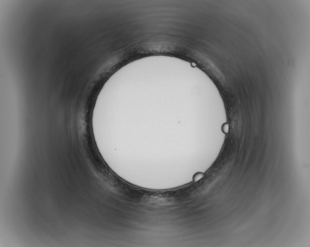 X0000115080635200911241143