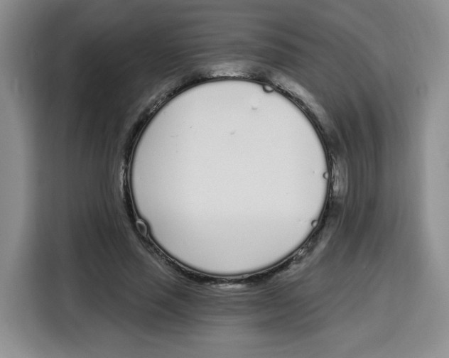 X0000115080637200911241143