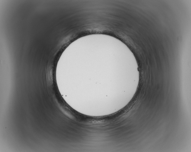 X0000115080638200911241143