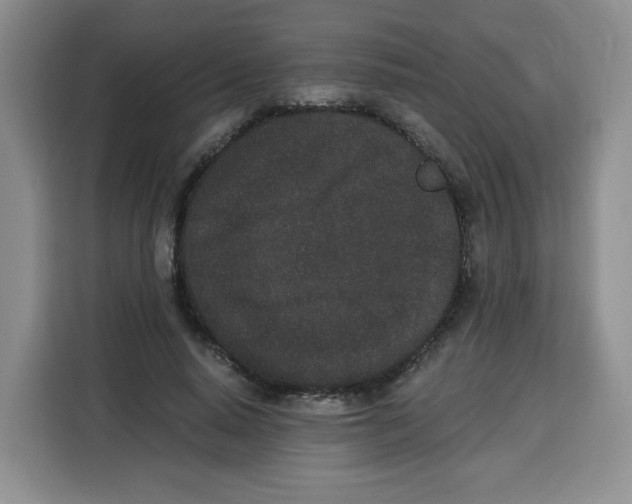 X0000115080640200911241143