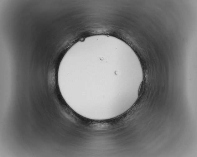 X0000115080642200911241143