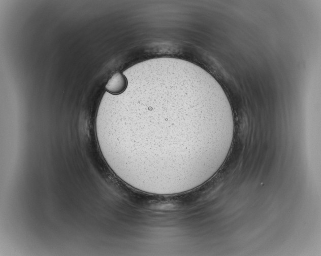 X0000115080643200911241143