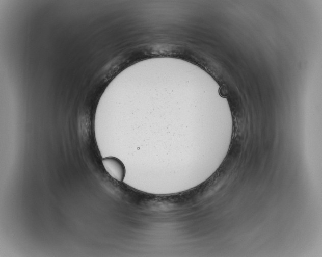 X0000115080648200911241143