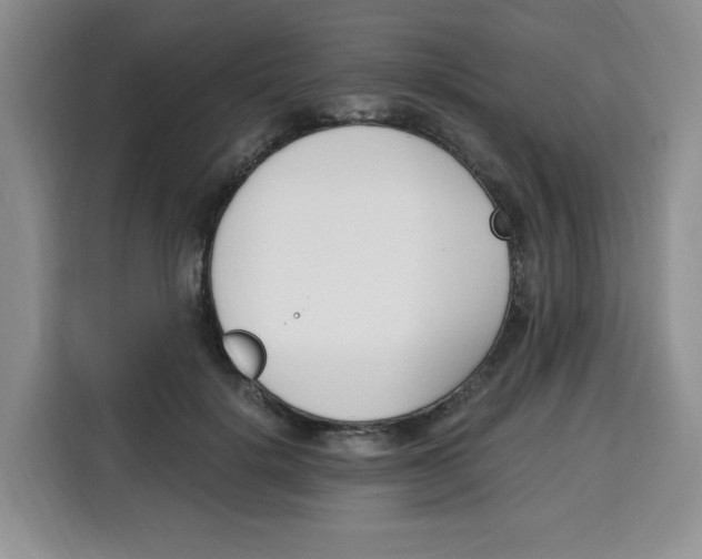 X0000115080652200911241143