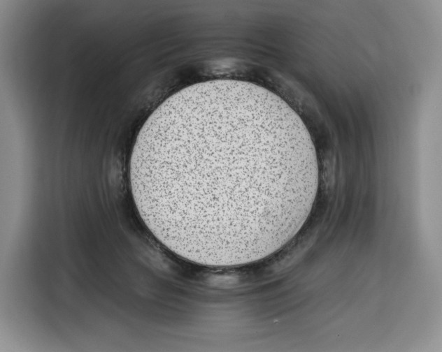X0000115080653200911241143