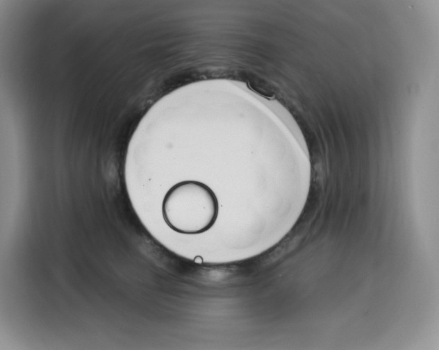 X0000115080662200911241143