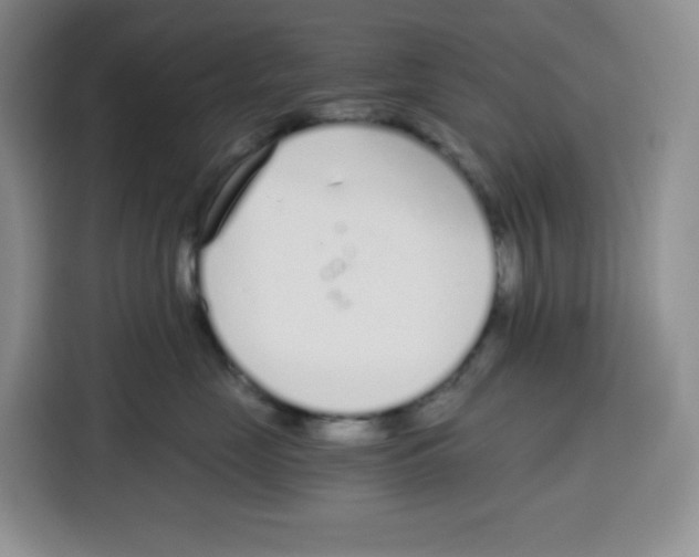 X0000115080669200911241143