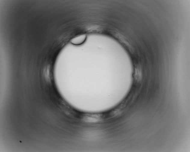 X0000115080671200911241143