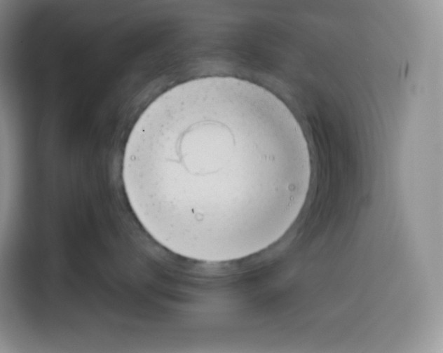 X0000115080672200911241143