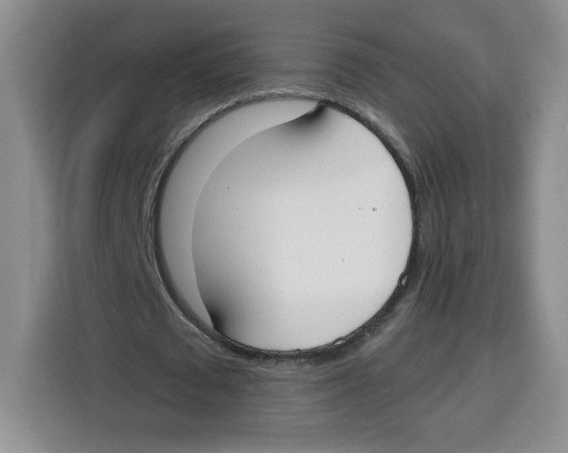 X0000115080673200911241143
