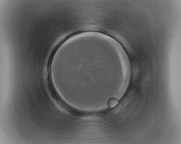 X0000115080674200911241142