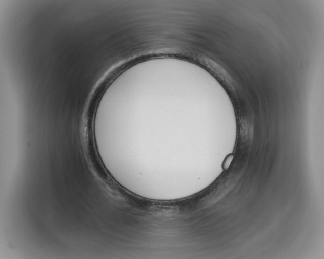 X0000115080676200911241142