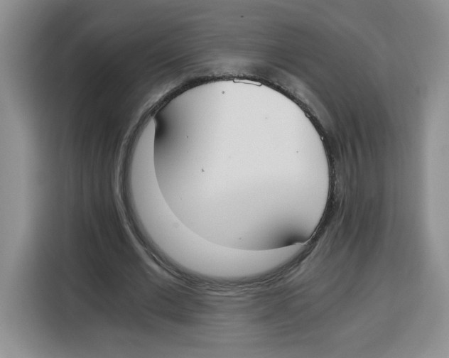 X0000115080677200911241142