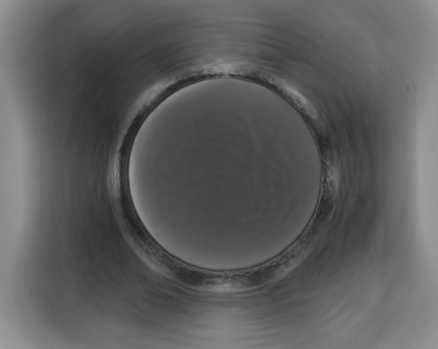 X0000115080678200911241142