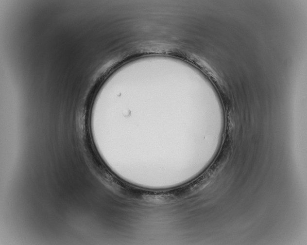 X0000115080679200911241142