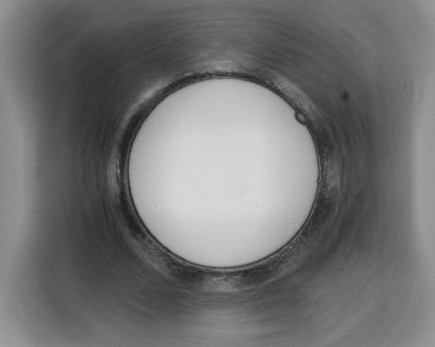 X0000115080680200911241142