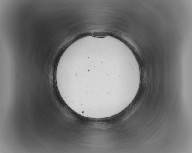 X0000115080681200911241142