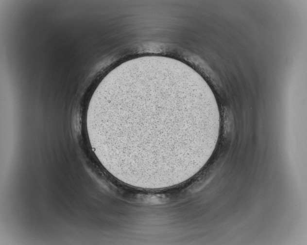 X0000115080683200911241142