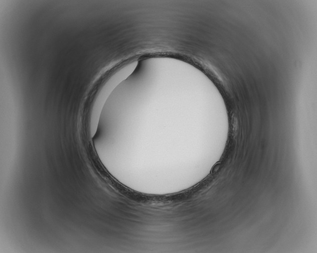 X0000115080684200911241142
